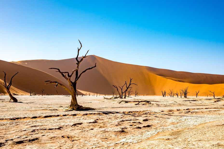 Hoogtepunten Namibië