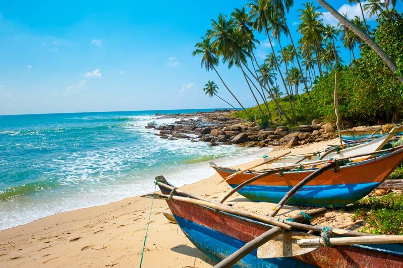 Hoogtepunten Sri Lanka (winter)