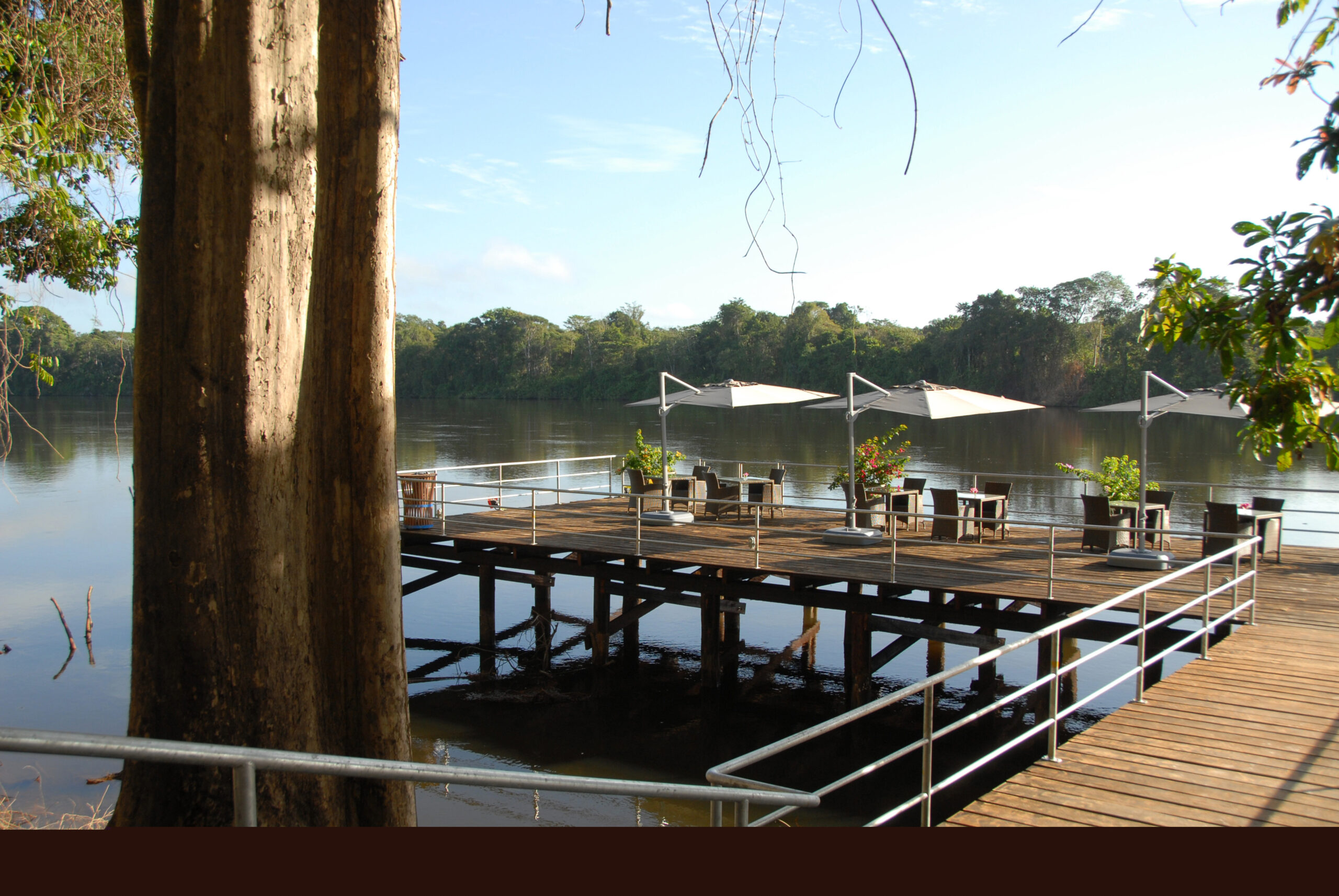 Suriname Discovery