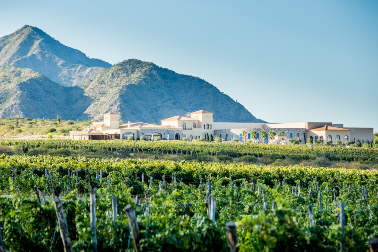 Treasures of North Argentina & Chile