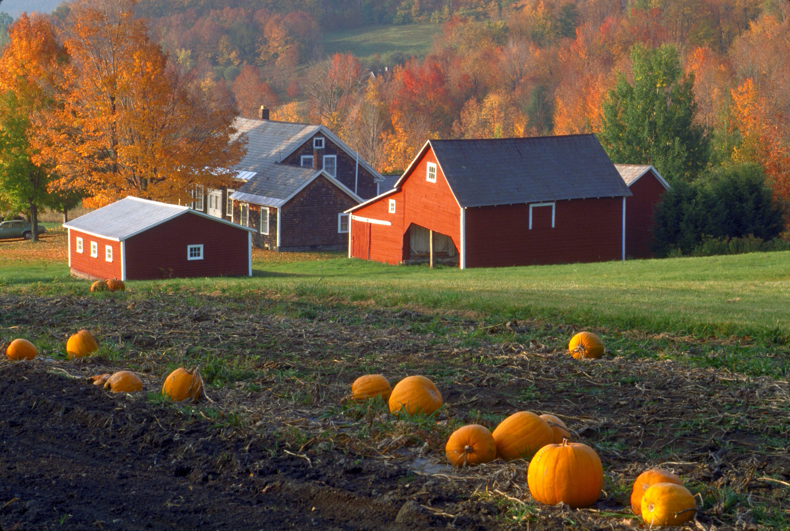 Classic New England