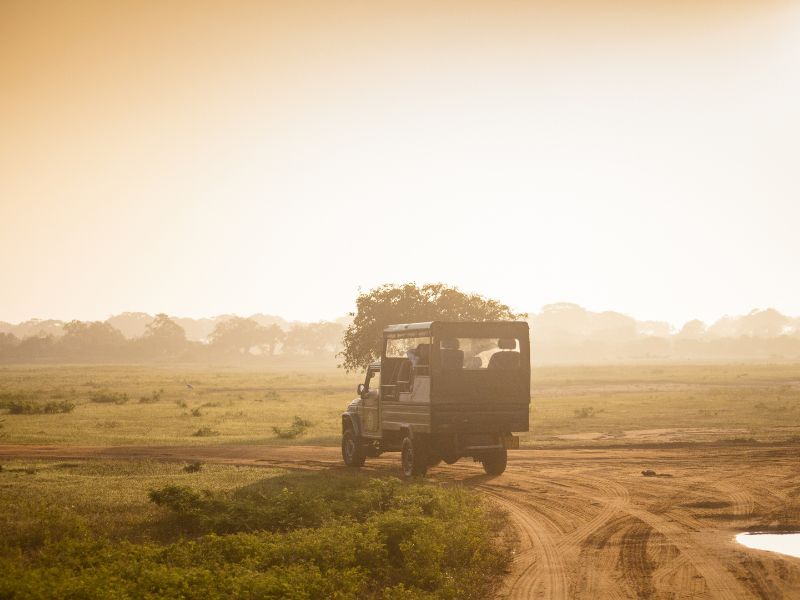 Sri Lanka on a shoestring