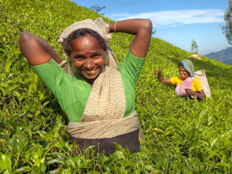 Sri Lanka in een (kokos)notendop