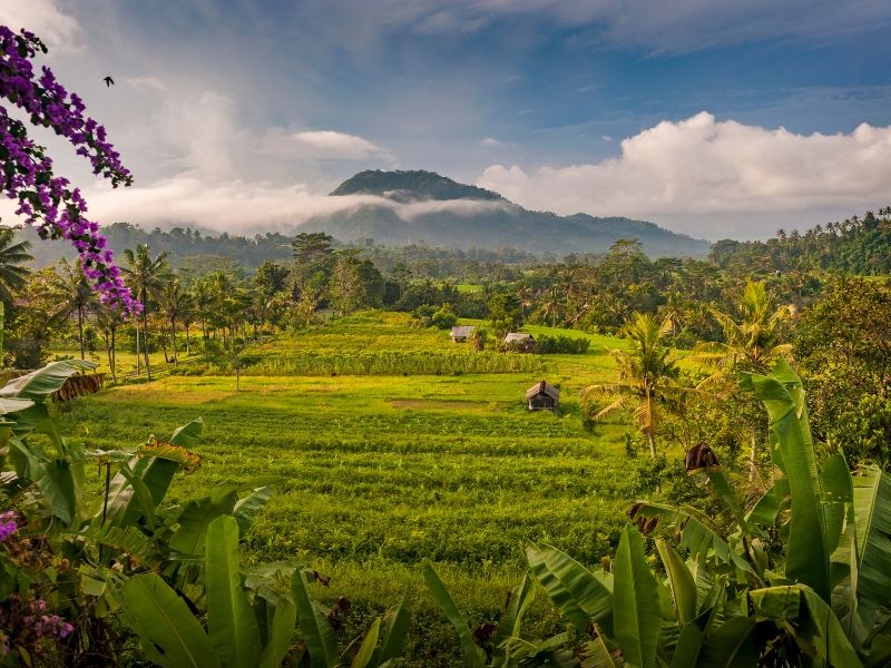 Rondreis Van het gebaande pad op Bali en Lombok