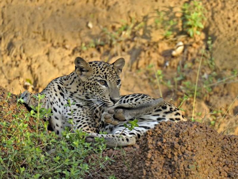 Eigenwijs eilandenreis