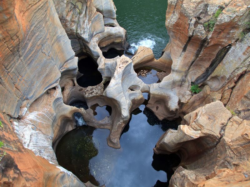 Riksja’s Choice: South African Experience