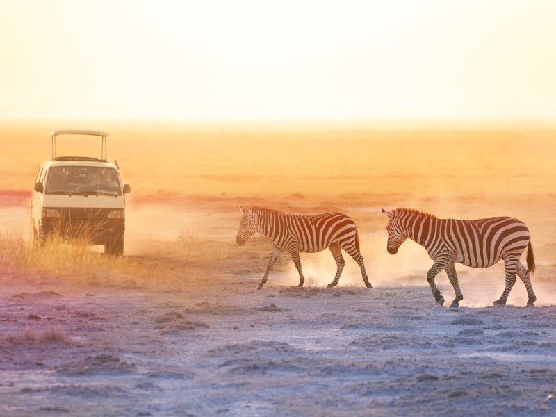 Grenzeloos verliefd op Afrika – Kenia en Tanzania reis