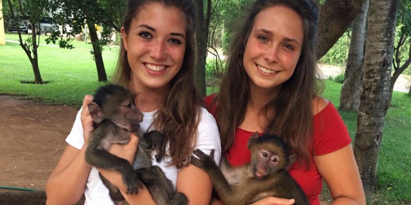 Monkey Rehabilitation Centre