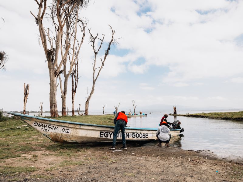 Kenia Safari Experience