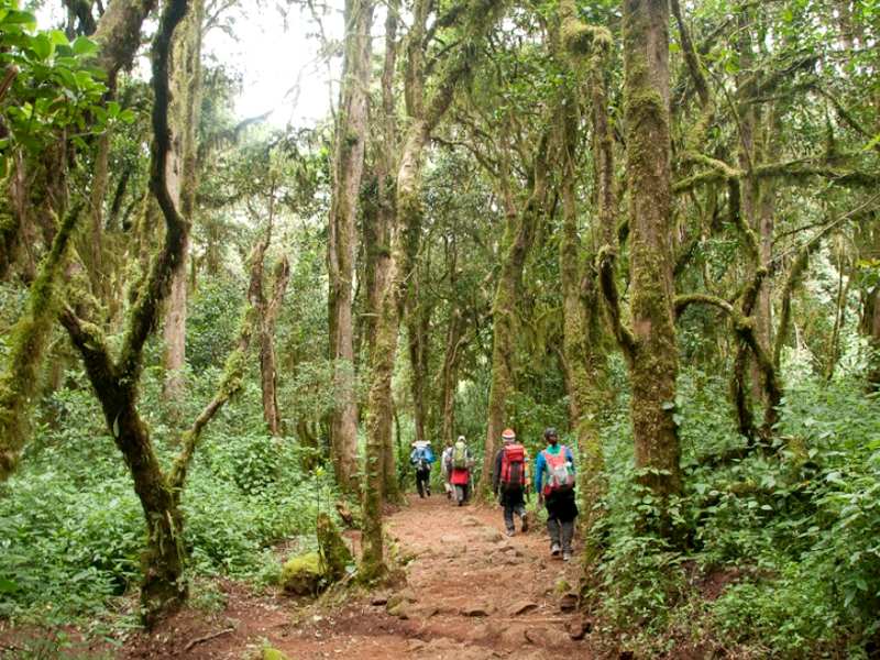 Kilimanjaro – Machame route