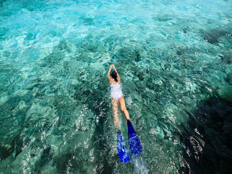 No worry Ceylon curry