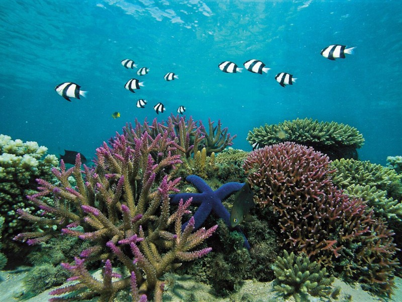 Toeren langs de oostkust