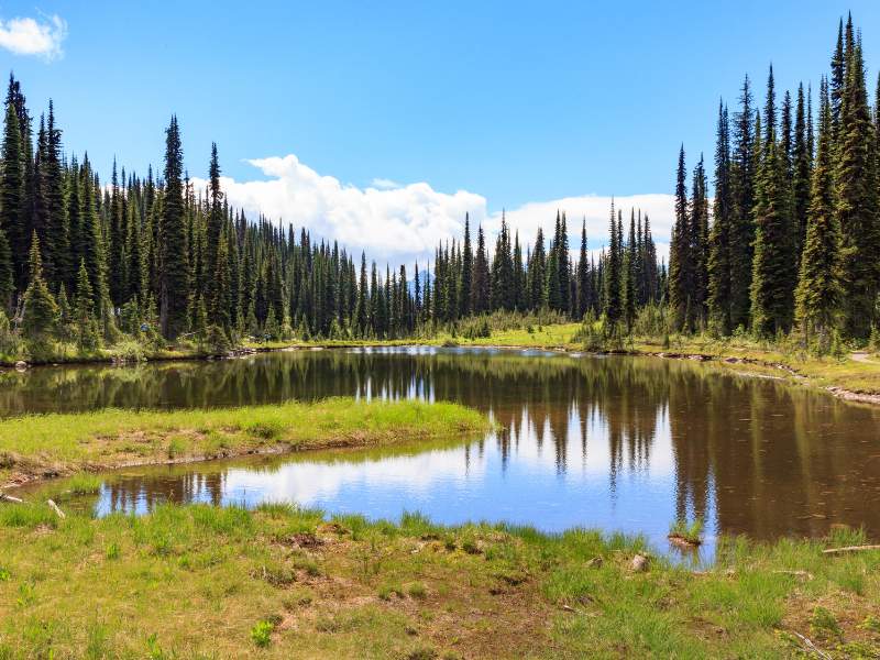 Rondje Ruige Rockies