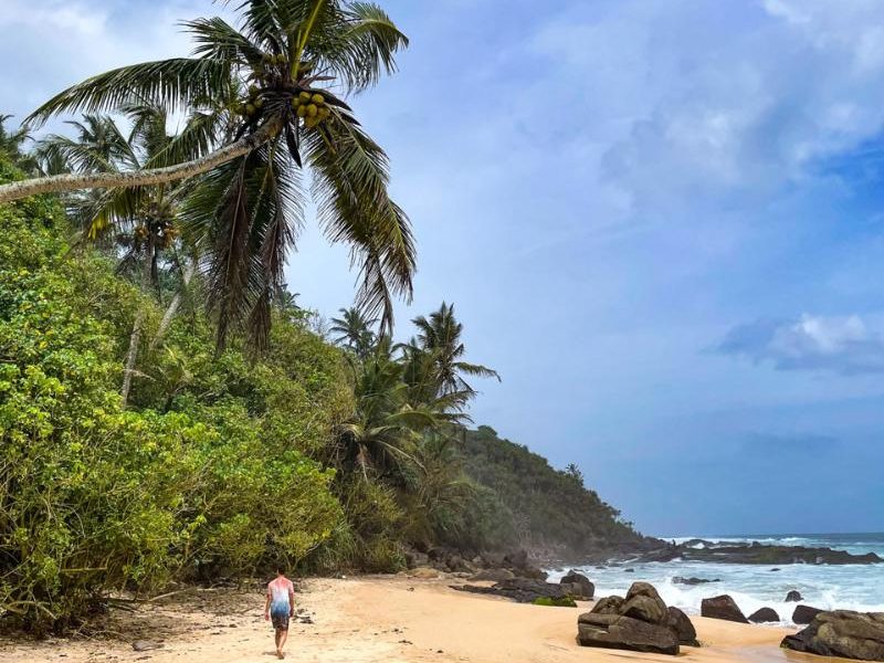 Sri Lanka in een (kokos)notendop