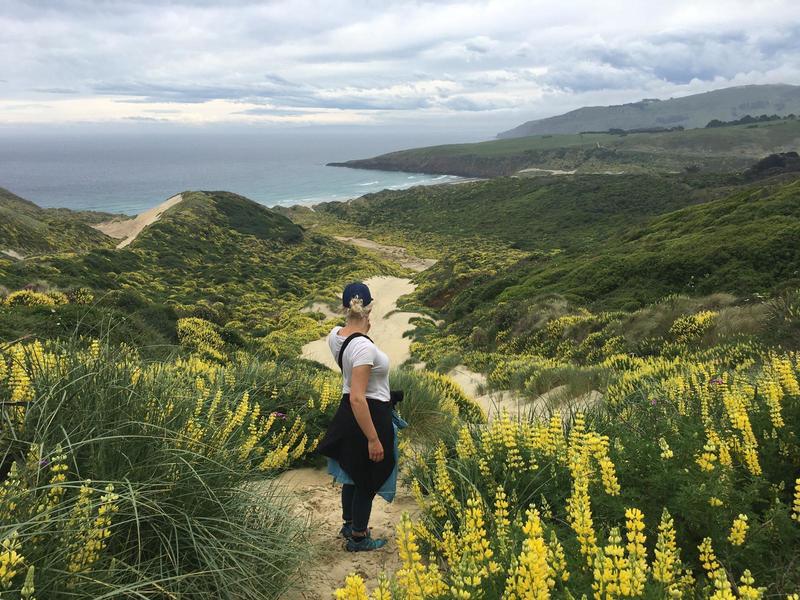 Expeditie Zuidereiland