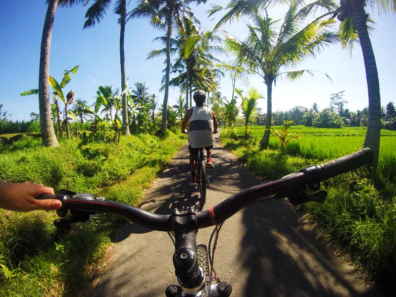 Slingerapen, fietstaxi’s en tempelwachters – door Sumatra, Java en Bali