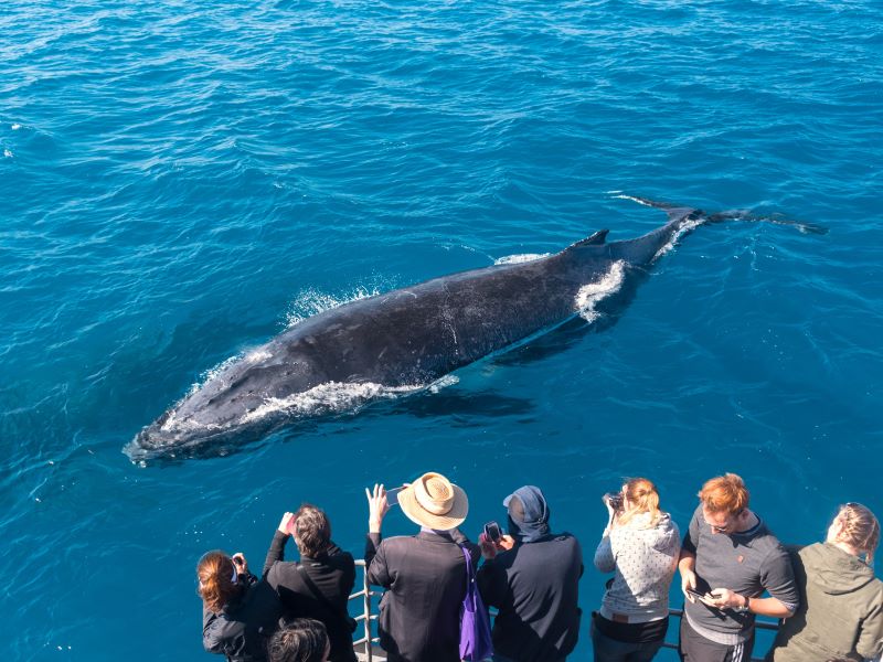 Fly-drive IJsland: Expeditie in het hoogland