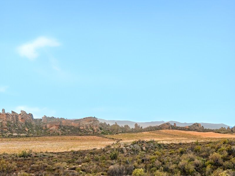 Van Kaapse kusten naar niemandsland in Namibië