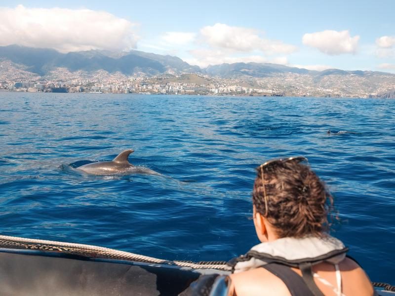 Vakantie Madeira en Porto Santo