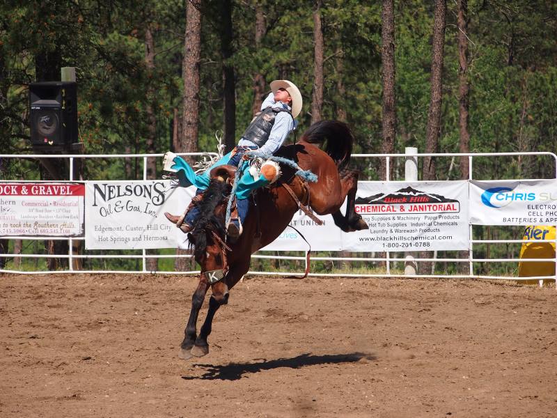 Bizons, cowboys en presidenten