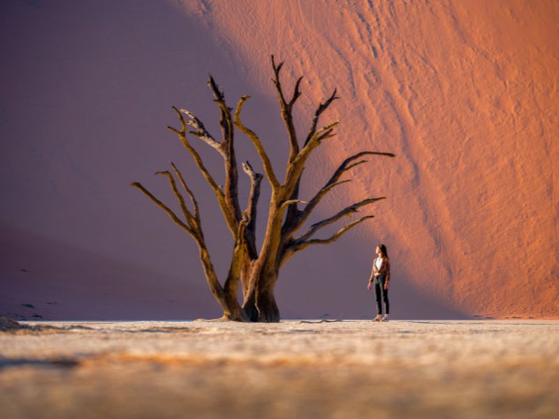 Namibië in stijl