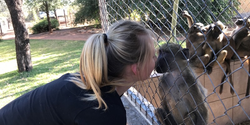 Monkey Rehabilitation Centre