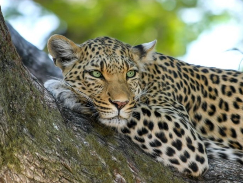 Op die pad Suid Afrika – zomerspecial