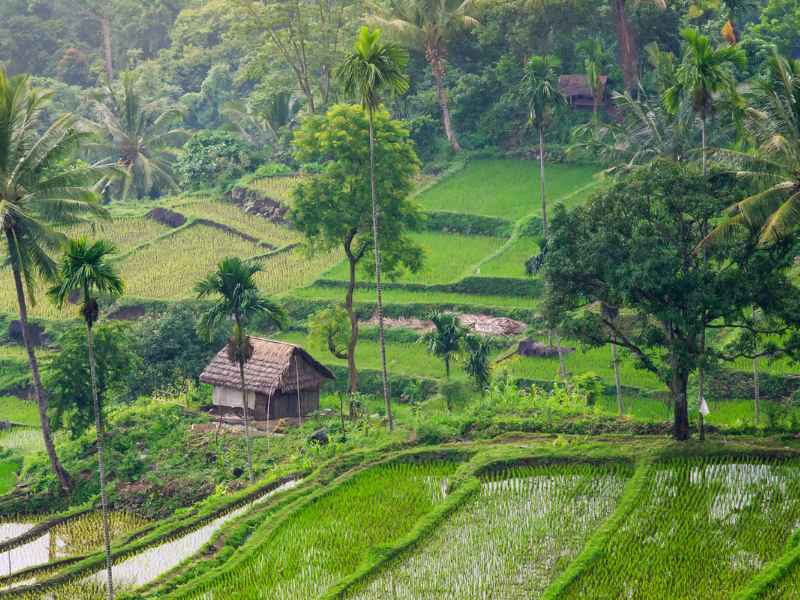 Rondreis Bali en Lombok; Onze keuze