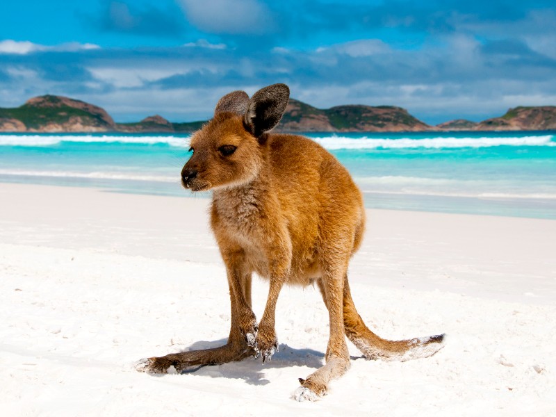 Toeren door Zuidwest Australië