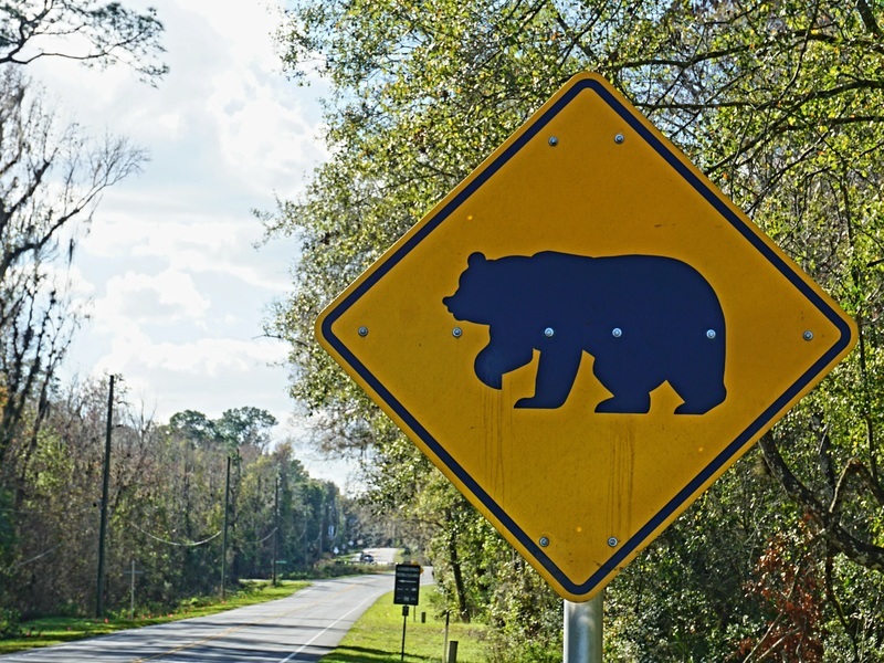 Hoogtepunten van Florida in 2 weken