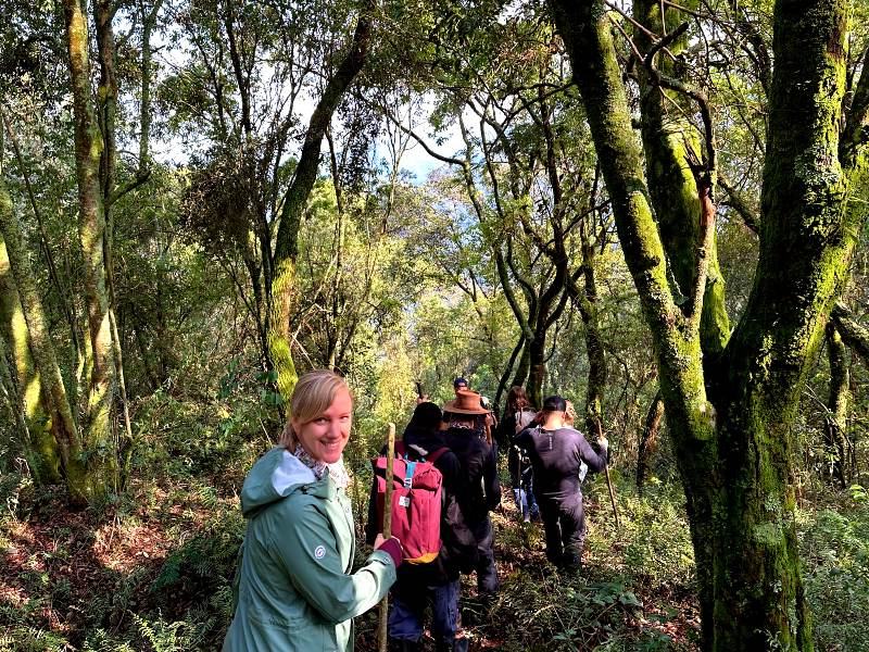 Highlights Oeganda in 2 weken