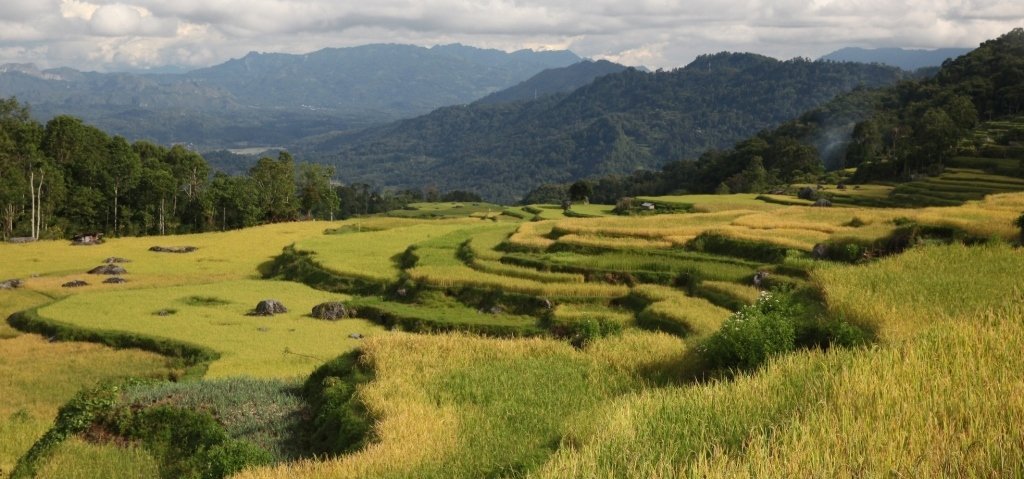 Rondreis 24 dagen trans-Sulawesi