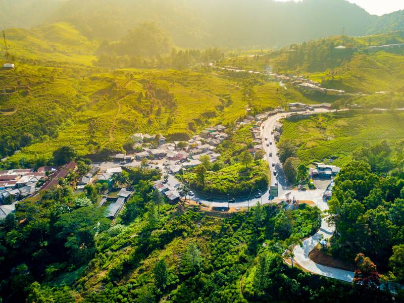 Groen, groener, groenst van Java naar Bali