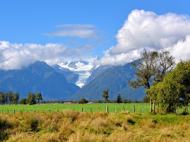 Van kiwiland tot palmenstrand