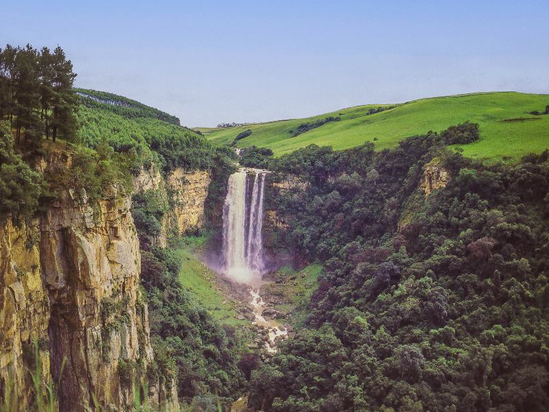 De Big-5 Zuid-Afrika familiereis