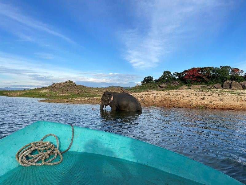 Sri Lanka: Onze keuze