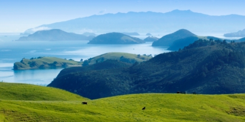 Kickstart Ultimate NZ