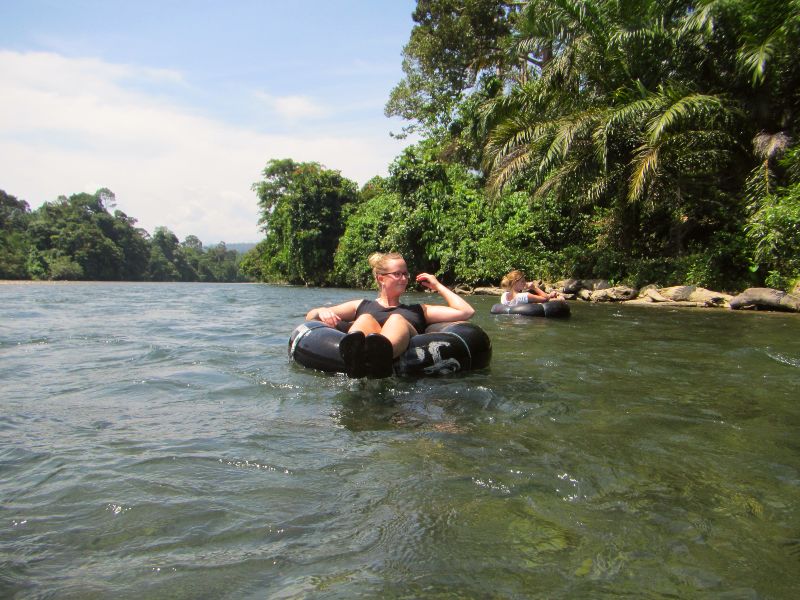 Van apenjungle naar rijstterras op Sumatra en Bali