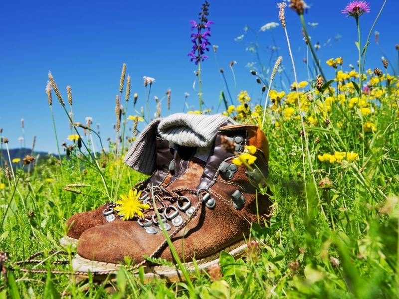 Noord-Italië: Van alpenweide naar wijnboerderij