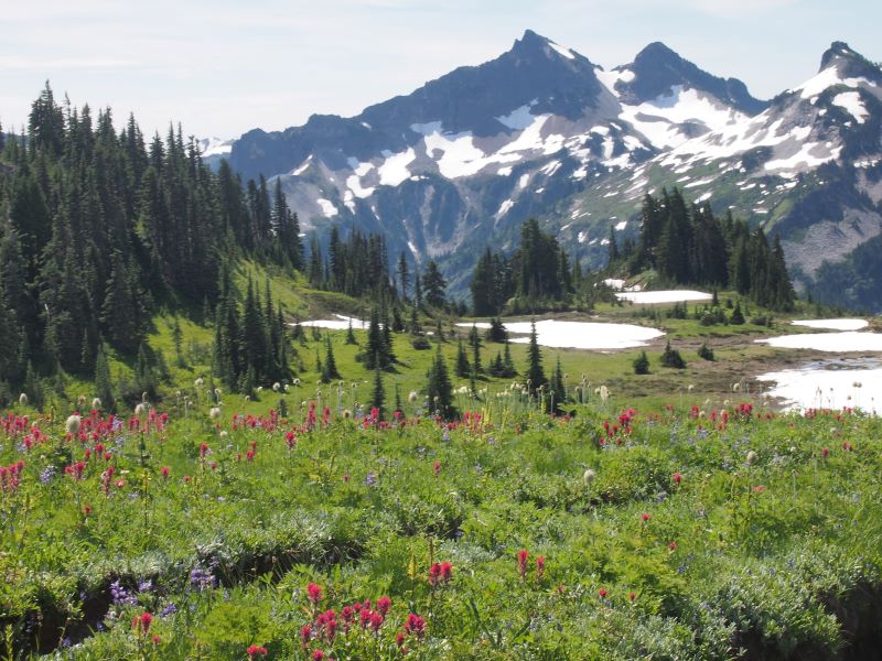 Washington & Oregon