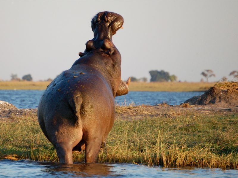 Go Zuid-Afrika in 3 weken