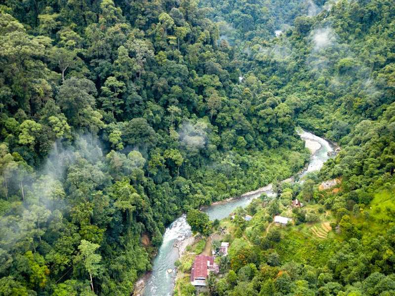 Slingerapen, fietstaxi’s en tempelwachters – door Sumatra, Java en Bali