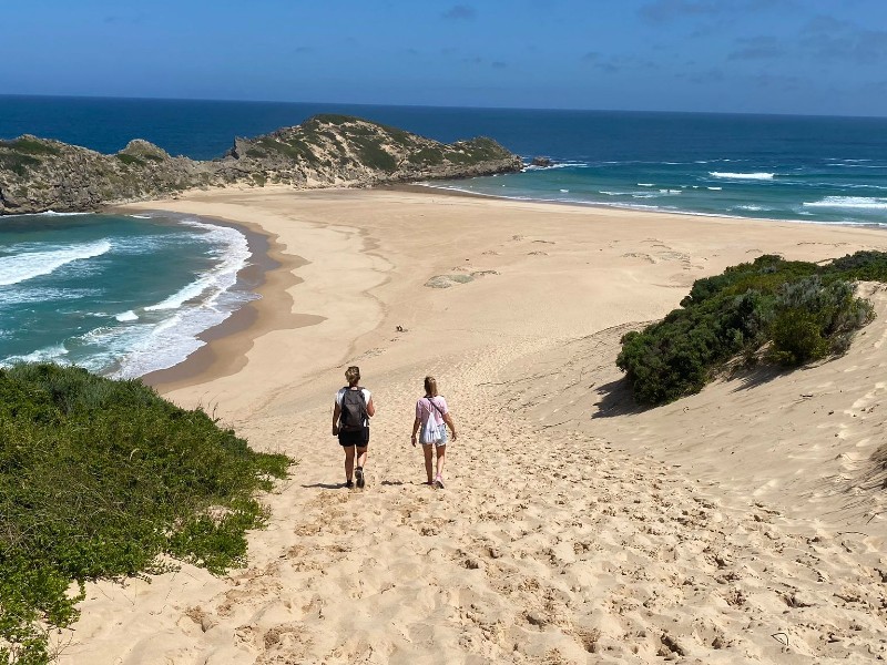 Riksja’s Choice: South African Experience