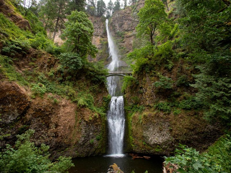Washington & Oregon