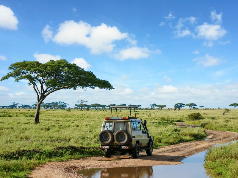 Grenzeloos verliefd op Afrika – Kenia en Tanzania reis
