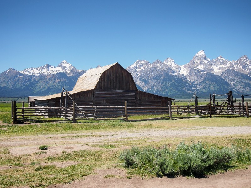 Bizons, cowboys en presidenten