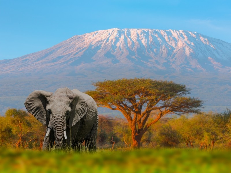 Grenzeloos verliefd op Afrika – Kenia en Tanzania reis