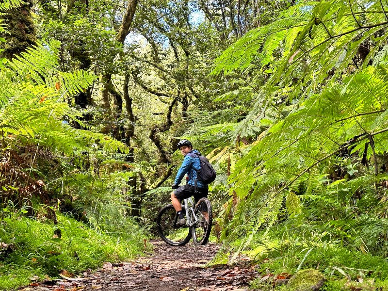 Expeditie Madeira met kinderen