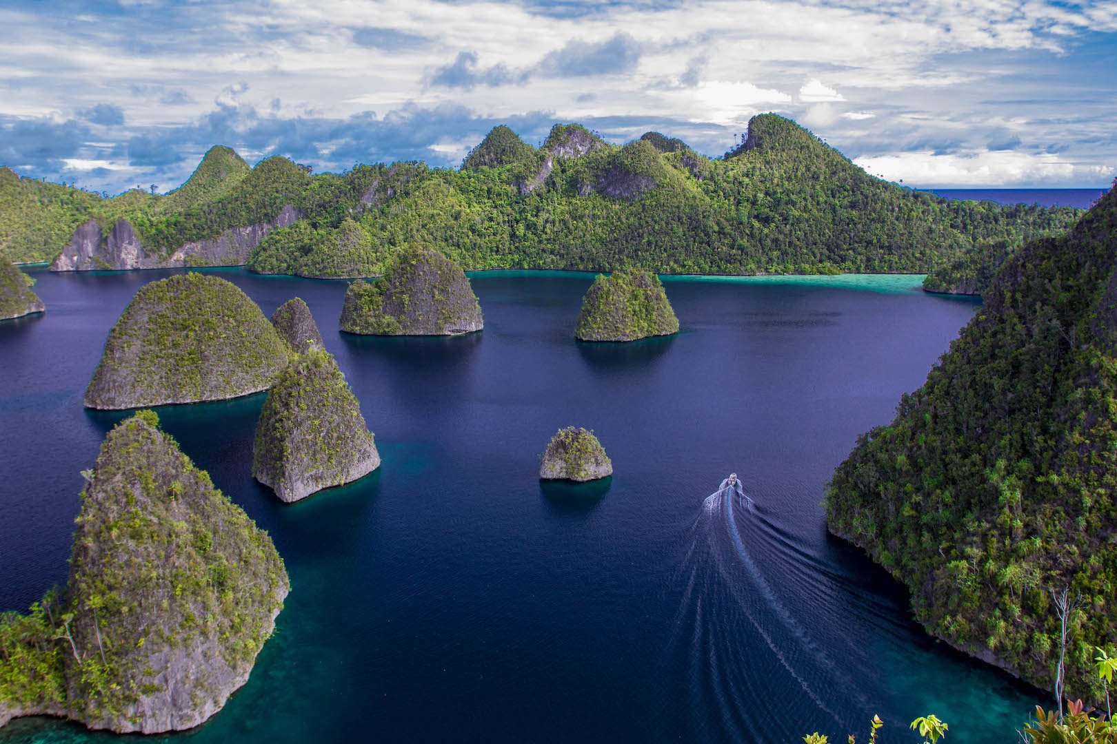 Cruise Ombak Putih en Katharina Papua’s Whale Sharks & Birds of Paradise