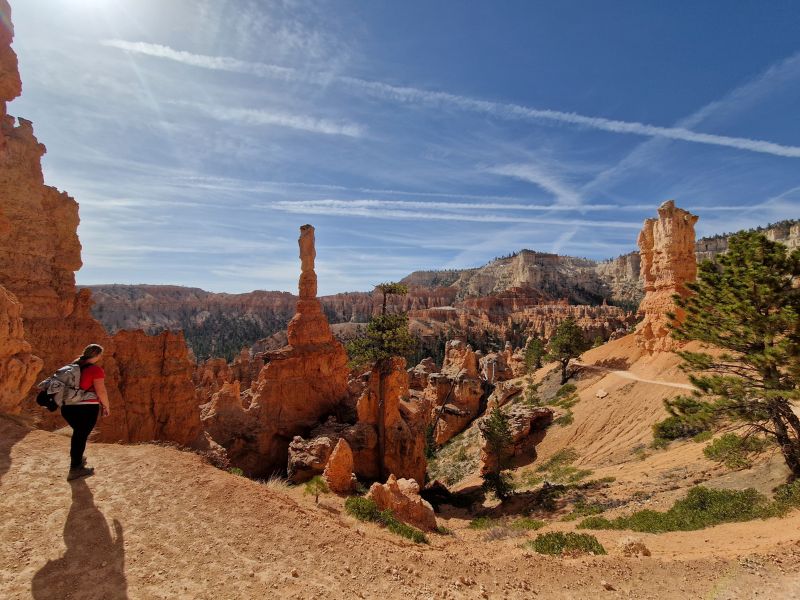 Highways & Highlights van West-Amerika